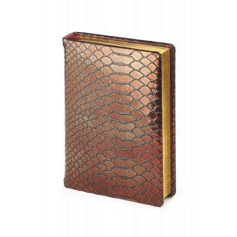 ежедневник недатированный A6 Strada 3-003/324