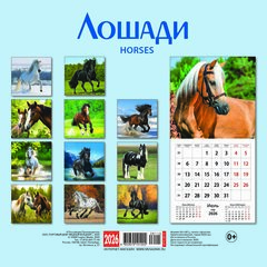 календарь настенный 30х30 12 листов кр10-26115 Символ года 2026г