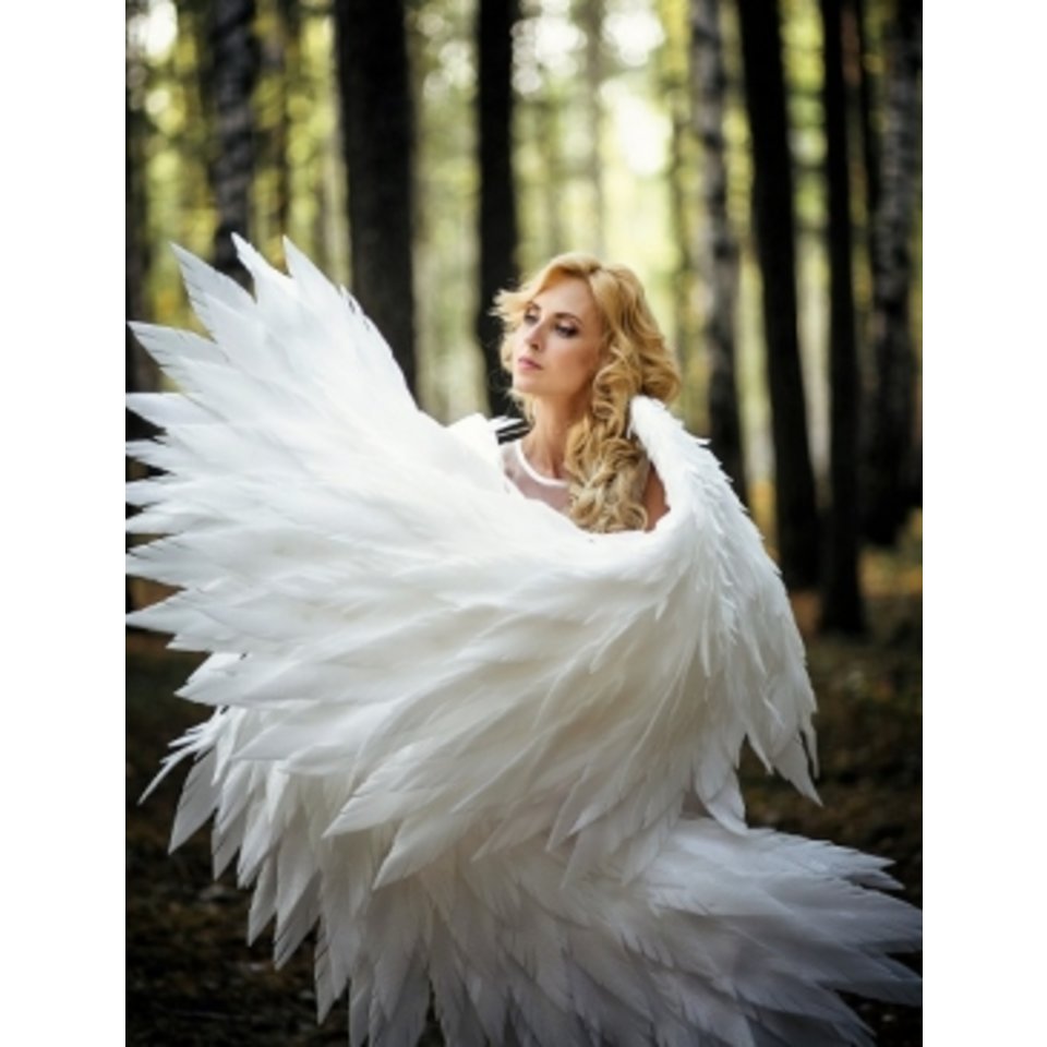 картина по номерам Загадочный ангел 40х50см Х-8644