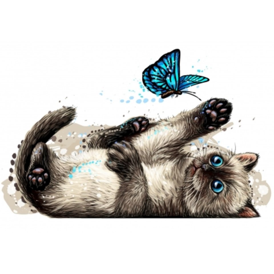 картина по номерам Котик с бабочкой 40х50см Х-8636