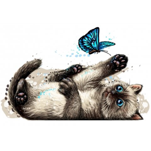 картина по номерам Котик с бабочкой 40х50см Х-8636