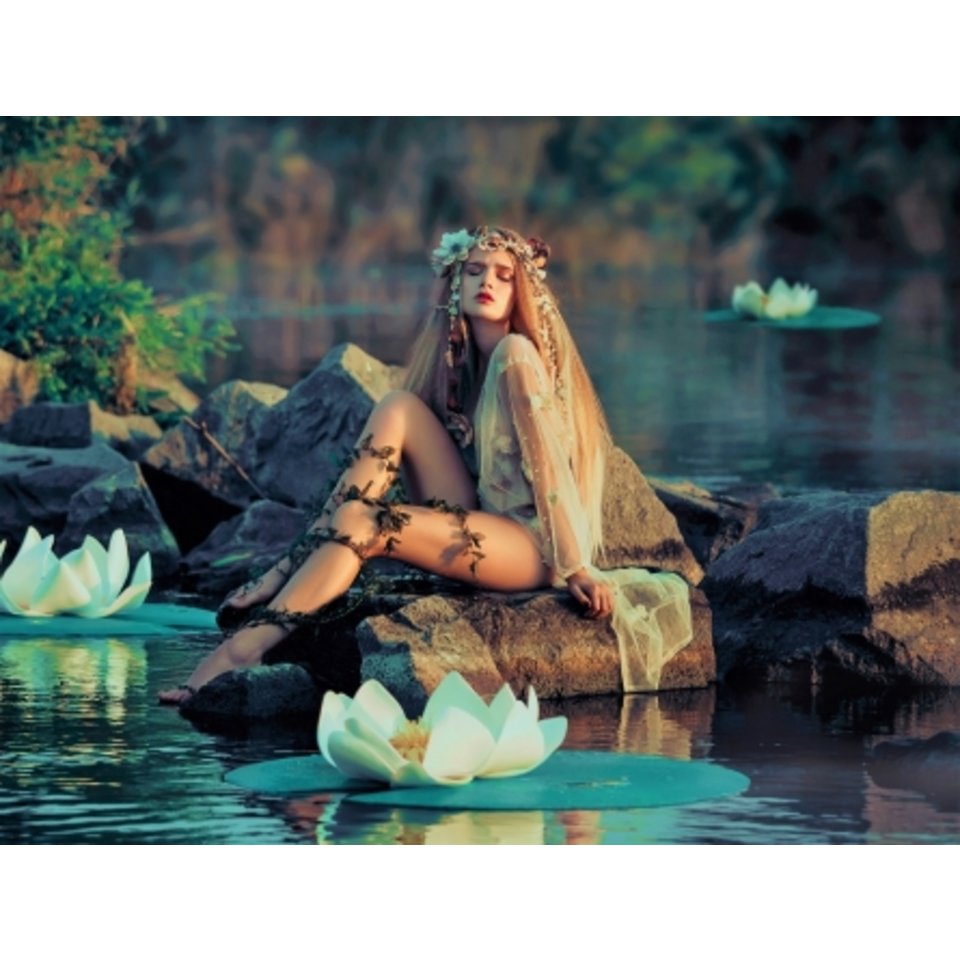 картина по номерам Нежная фея на камне 40х50см Х-8646