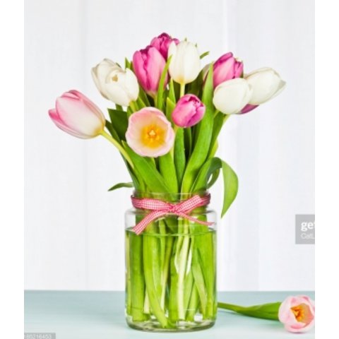 картина по номерам Нежные тюльпаны 40х50см Х-4740