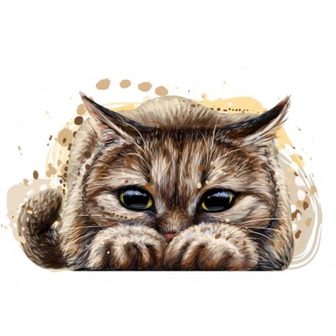 картина по номерам Озорной котенок 40х50см Х-8635