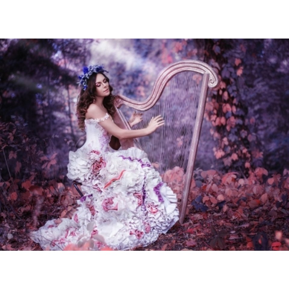 картина по номерам Прекрасная девушка и арфа 40х50см Х-8648