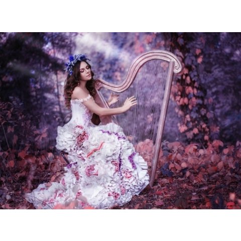 картина по номерам Прекрасная девушка и арфа 40х50см Х-8648