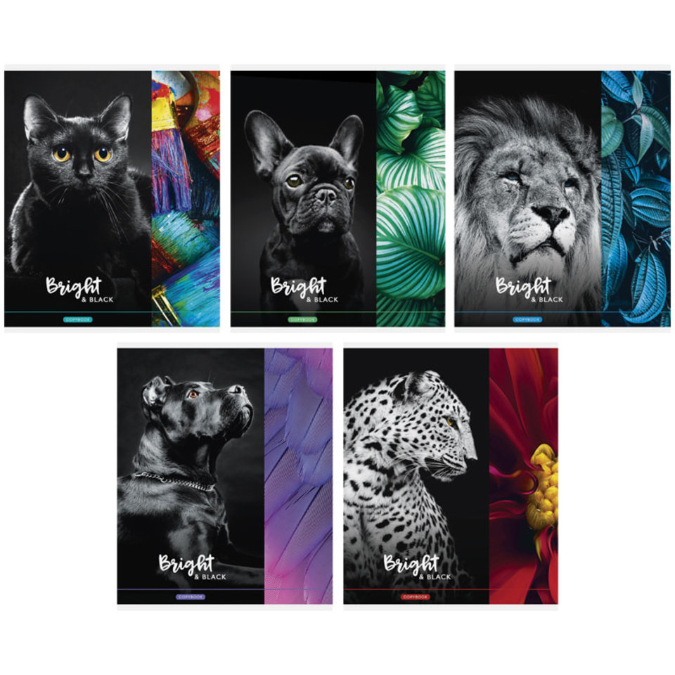 тетрадь 48 листов Bright&black в клетку 24408 (276210) Space