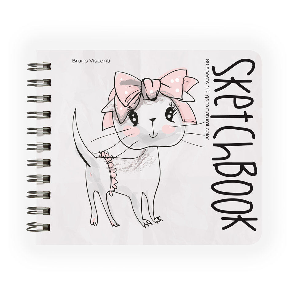 скетчбук А5 80 листов Bruno Visconti на гребне 160г/м2 1-550/04