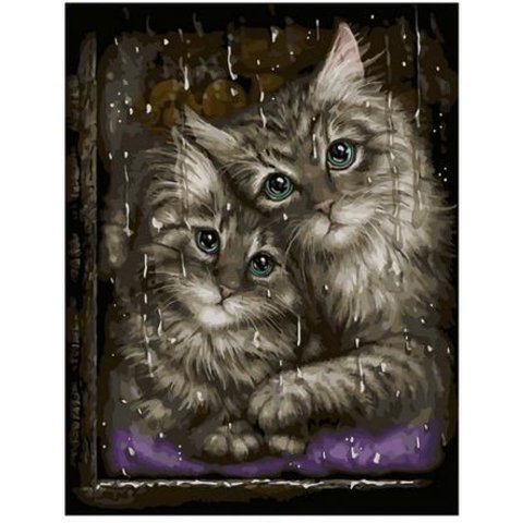 картина по номерам В дождливую погоду 40х50см PK68100