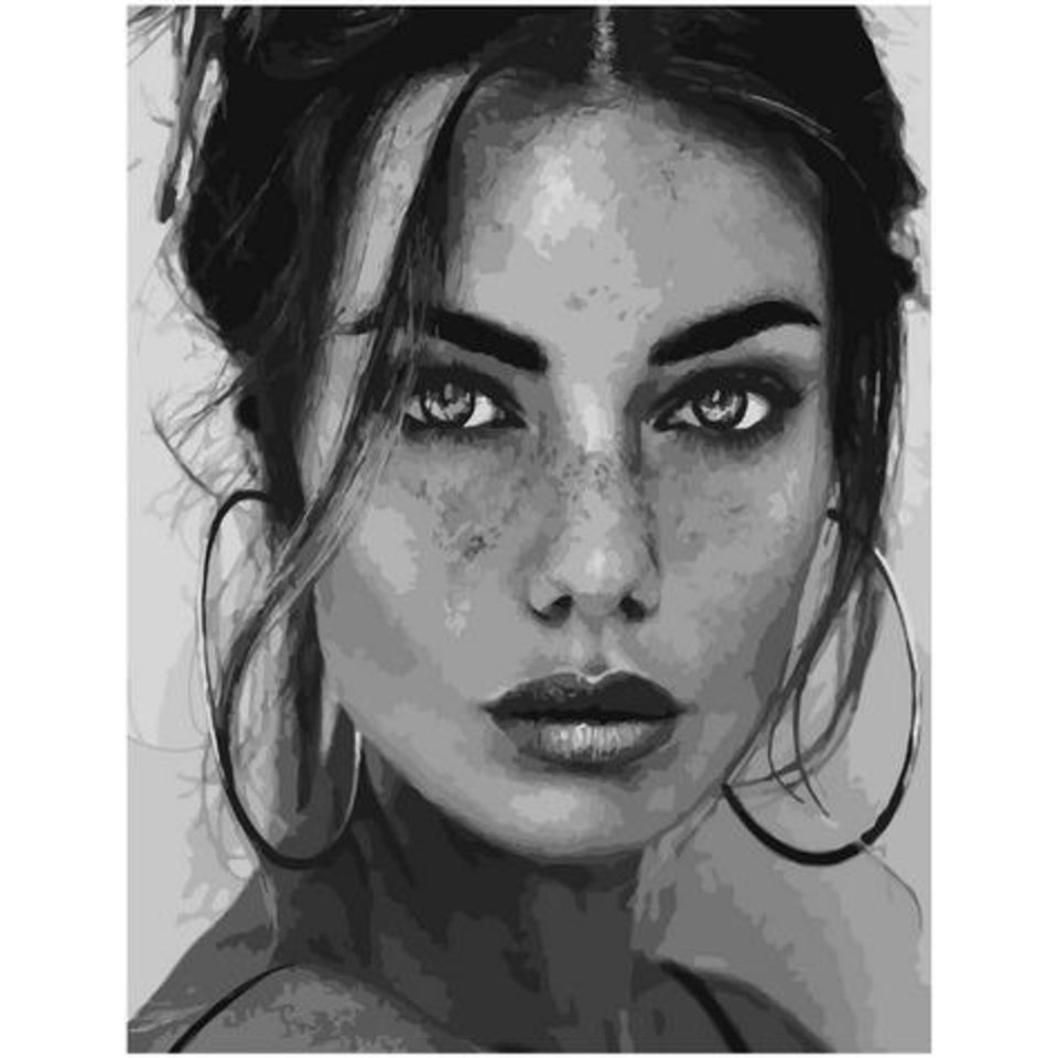 картина по номерам Прекрасная Энни 40х50см PK85037