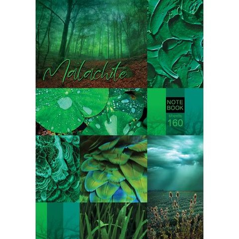 книга для записи А4 160 листов Mood color 8378 BG