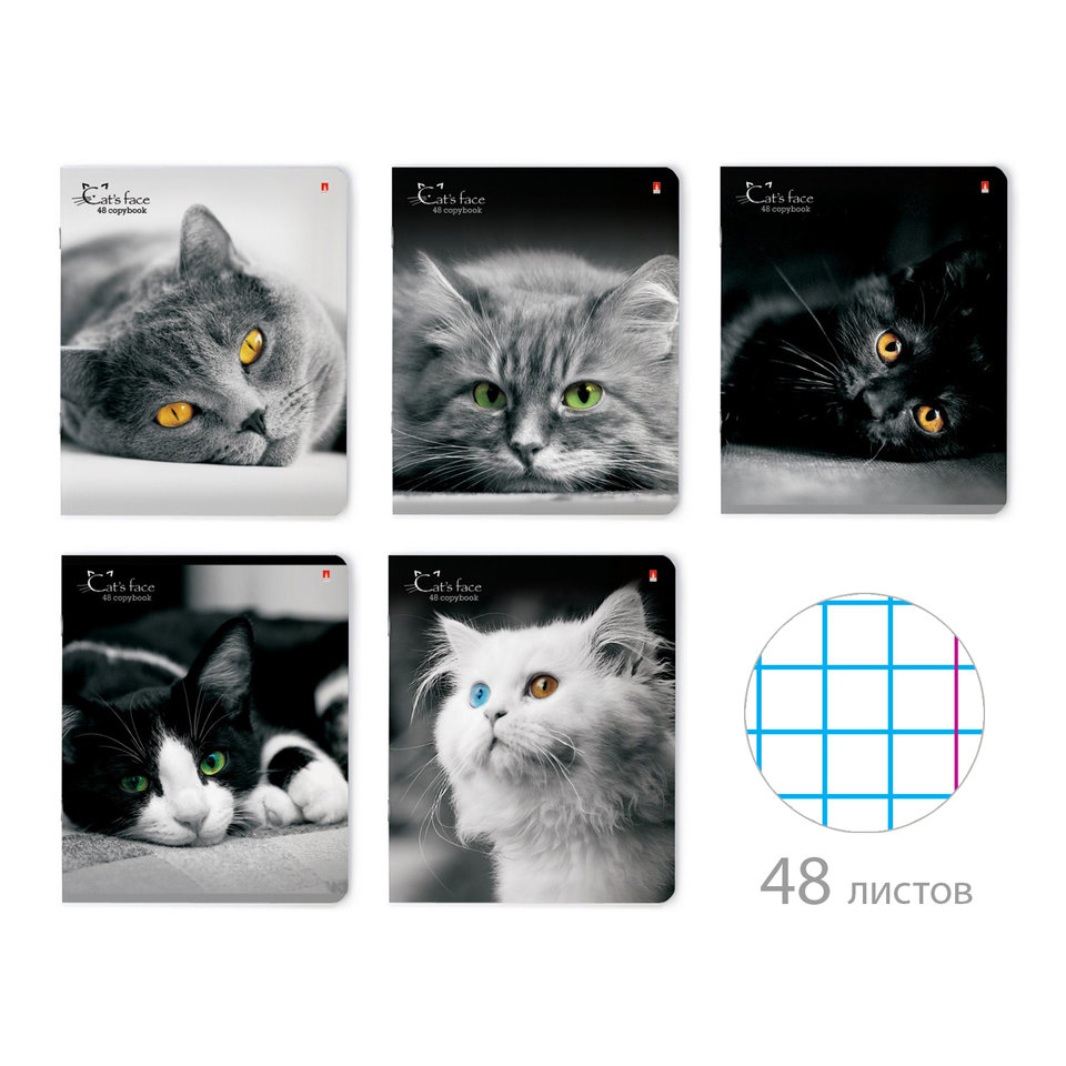 тетрадь 48 листов Кошки яркий взгляд в клетку 7-48-1019