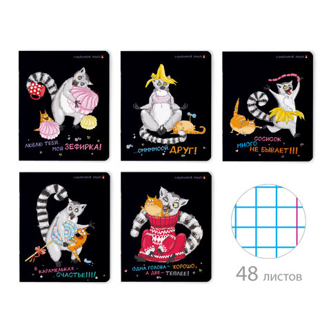 тетрадь 48 листов Озорные лемуры в клетку 7-48-1077