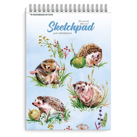 скетчбук А4 20 листов Ёжики 200г/м на гребне 56646