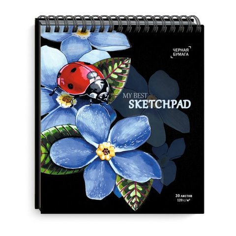 скетчбук А5 30 листов Божья коровка 120г/м2 на гребне черный 50817