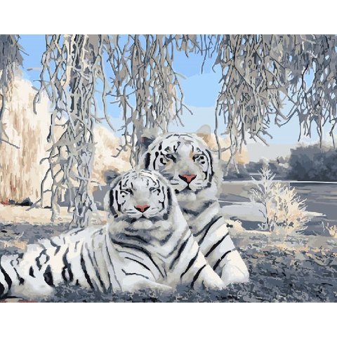 картина по номерам Белые тигры 40х50см GX27562