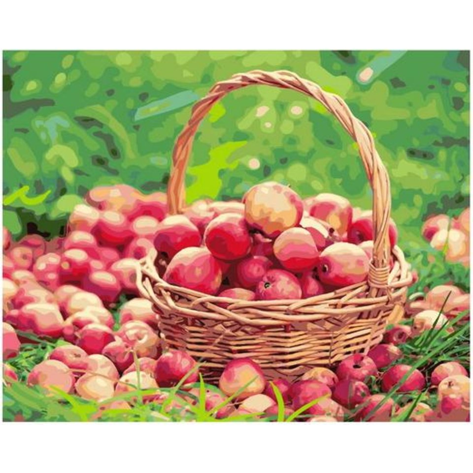 картина по номерам Корзинка с яблоками 40х50см GX38034