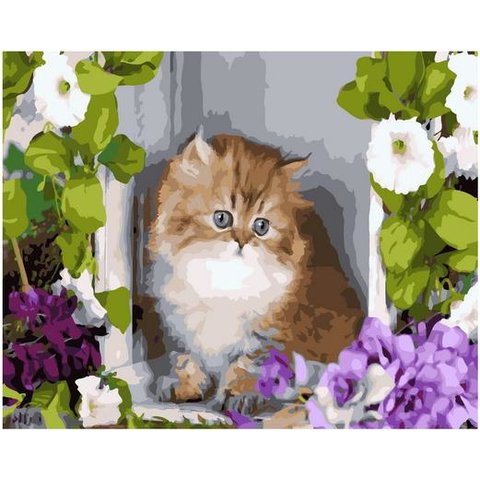 картина по номерам Котик в цветах 40х50см GX37999