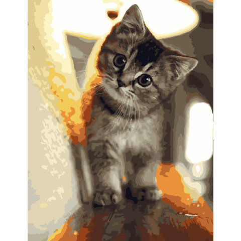 картина по номерам Любопытный малыш 40х50см GX29845