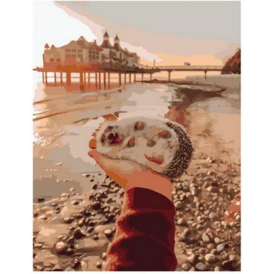 картина по номерам Милый 40х50см PK68009