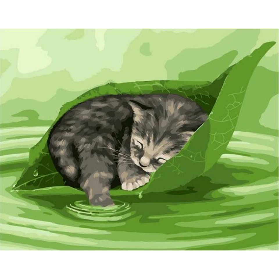 картина по номерам Сон после дождя 40х50см PK72024