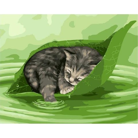 картина по номерам Сон после дождя 40х50см PK72024