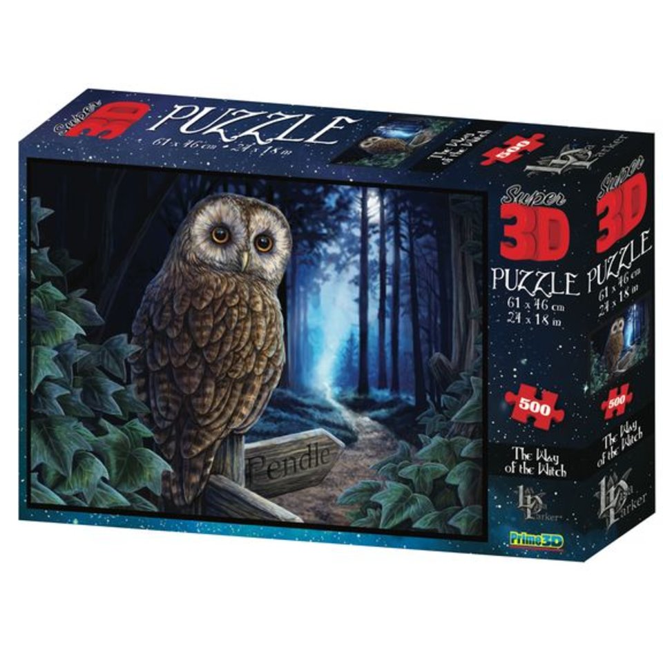 пазл 500 элементов SUPER 3D Путь магии 10189