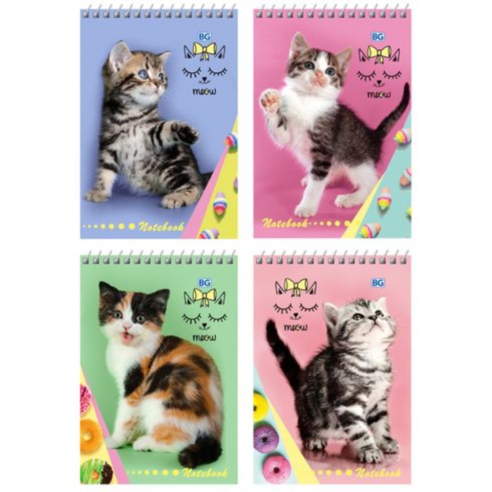 блокнот А6 40 листов "Meow notebook" на гребне 7467 BG
