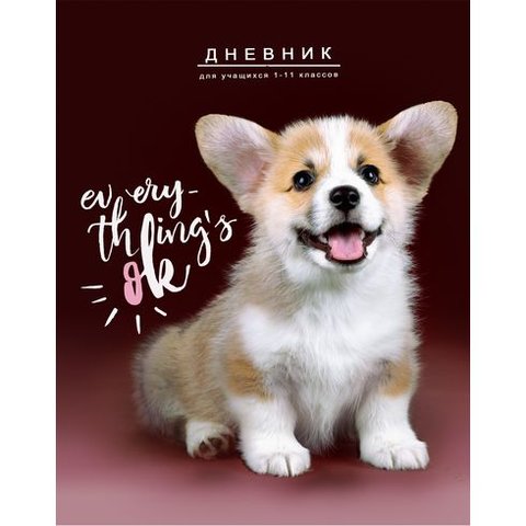 дневник для 1-11 классов твердый переплет Мой Дружок 9297 BG dc