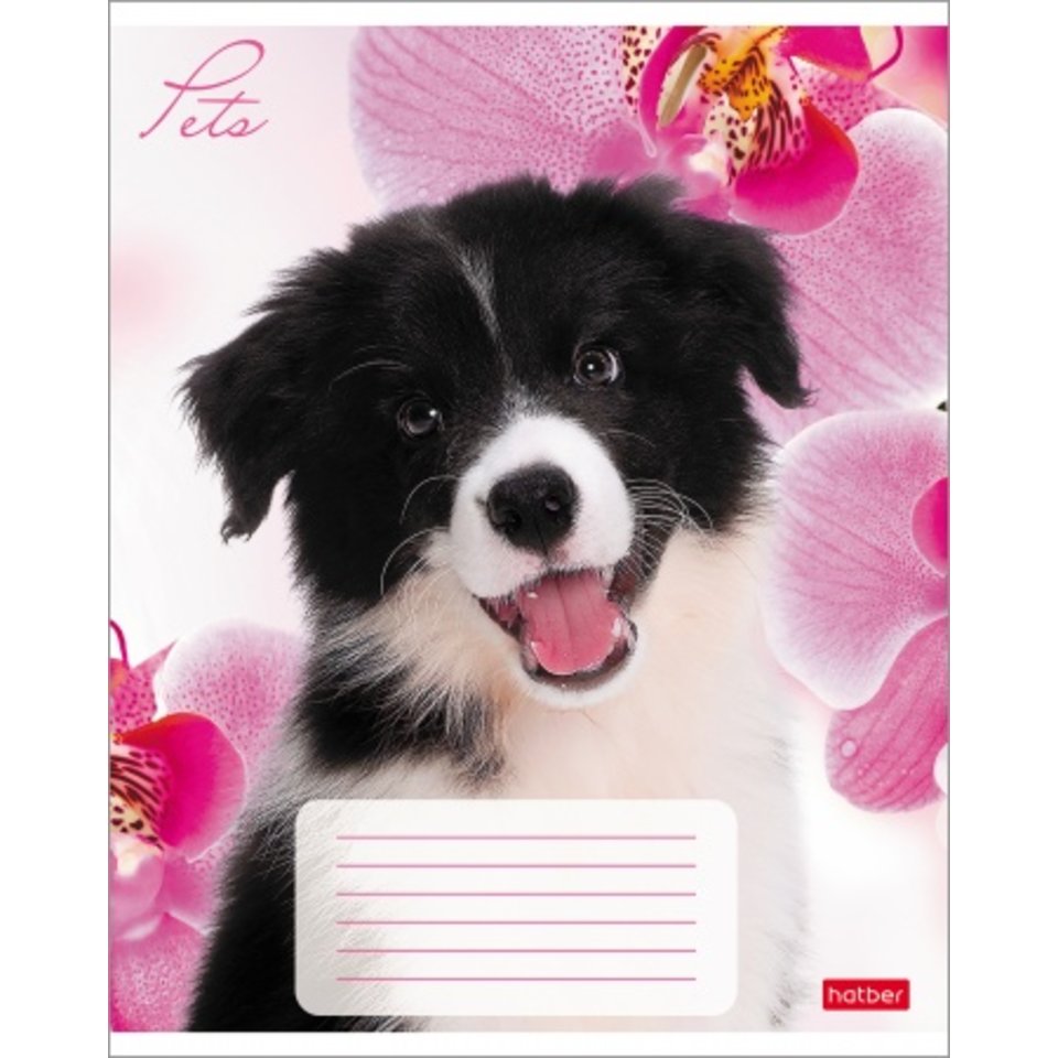 тетрадь 12 листов Любимцы в клетку 033752