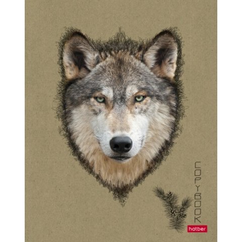 тетрадь 96 листов КРАФТ -Взгляд в клетку 064479