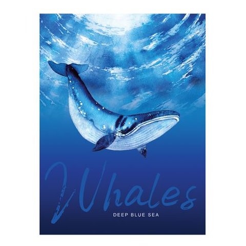 тетрадь на кольцах 160 листов Голубая бездна 8858 BG