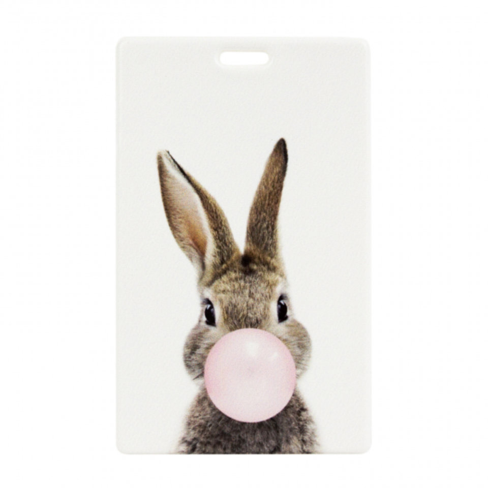 обложка для пропуска Кролик, ПВХ kw187-000075