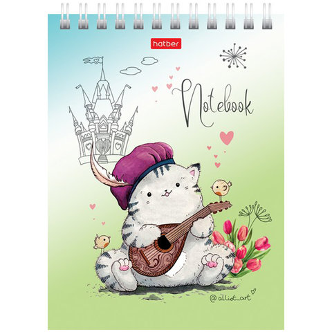 блокнот А6 40 листов Приключения кота пирожка на гребне 066273