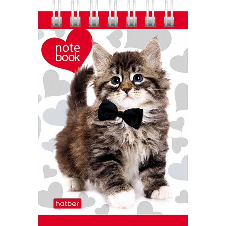 блокнот А7 40 листов На Мягких Лапках на гребне 061466