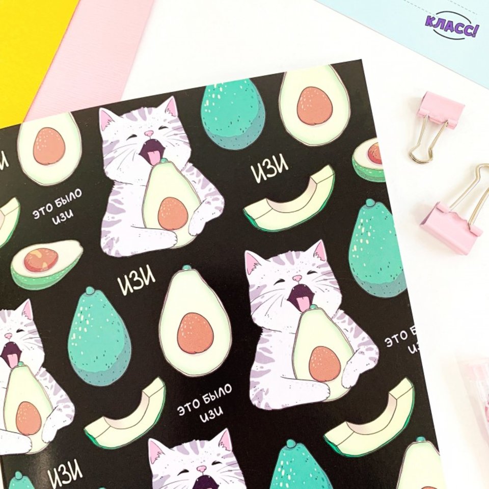 тетрадь 18 листов SWEETCAT Это было ИЗИ трк-189 в клетку