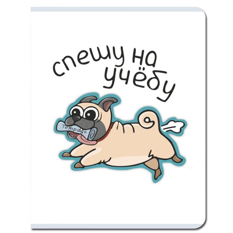 тетрадь 48 листов FINE BOOKS На учёбу FB261 в клетку