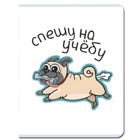 тетрадь 48 листов FINE BOOKS На учёбу FB261 в клетку