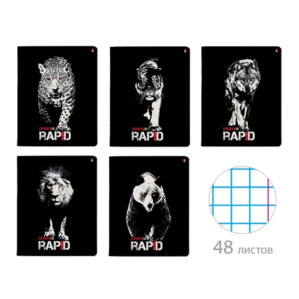 тетрадь 48 листов цветная RAPID 7-48-1170 в клетку Альт