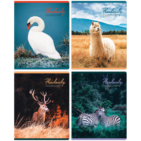 тетрадь 48 листов Gift of Nature в клетку 33344