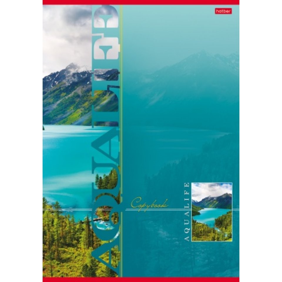 тетрадь А4 80 листов цветная Аквалайф в клетку 013234