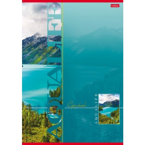 тетрадь А4 80 листов цветная Аквалайф в клетку 013234