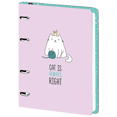 тетрадь на кольцах 120 листов MESHU "Right cat" 31534 310802