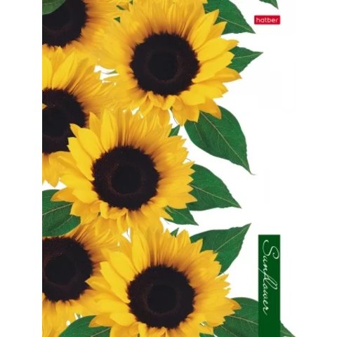тетрадь на кольцах 160 листов Sunflowers 23016 (063273)