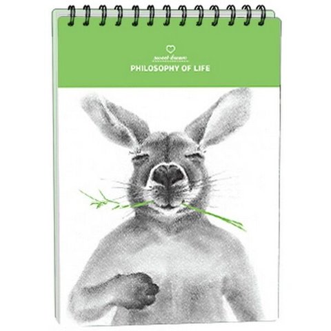 скетчбук А5 40 листов Kangaroo твердая обложка на спирали n1024