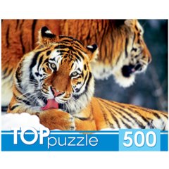пазлы 500 Два тигра кбтп500-6797