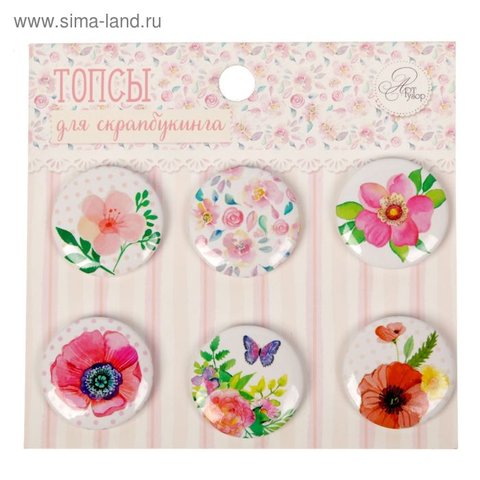 топсы для скрапбукинга набор Райский сад 1741018