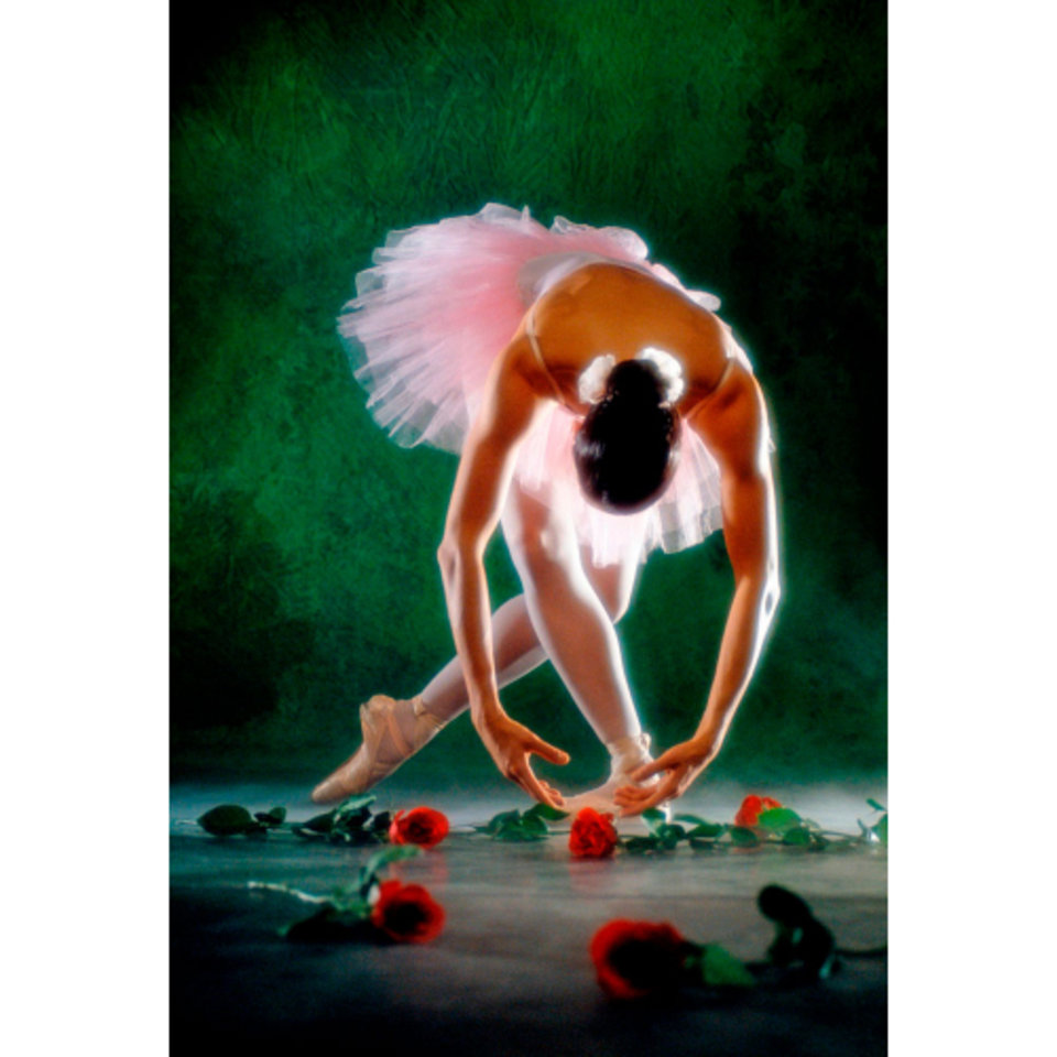картина по номерам "Балерина с цветами" 40х50см х-2975