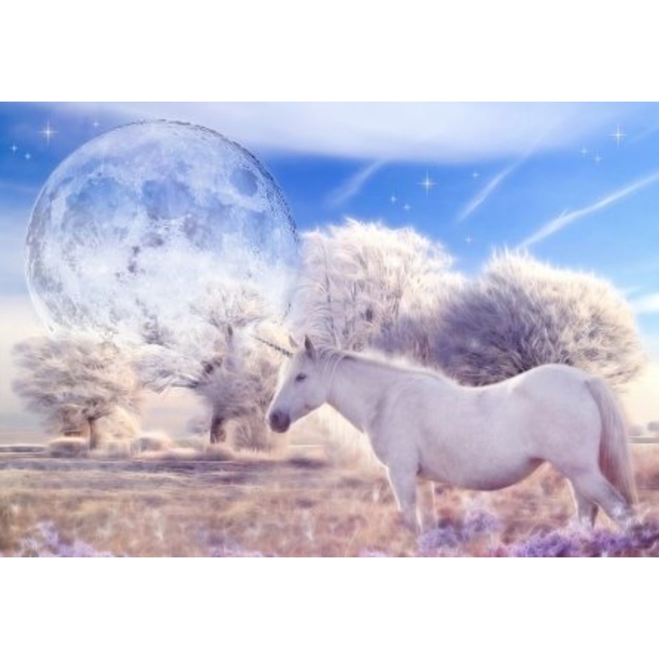 картина по номерам "Волшебный мир" 40х50см х-3568