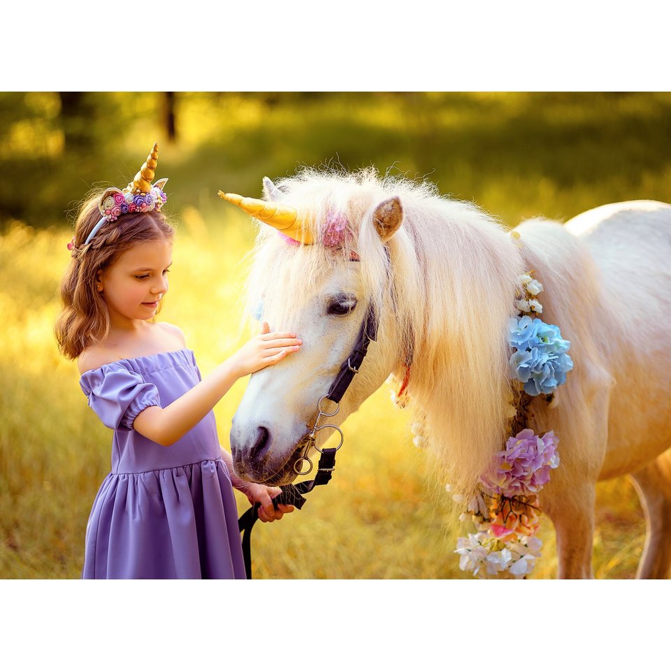 картина по номерам "Девочка с единорогом" 40х50см х-6653